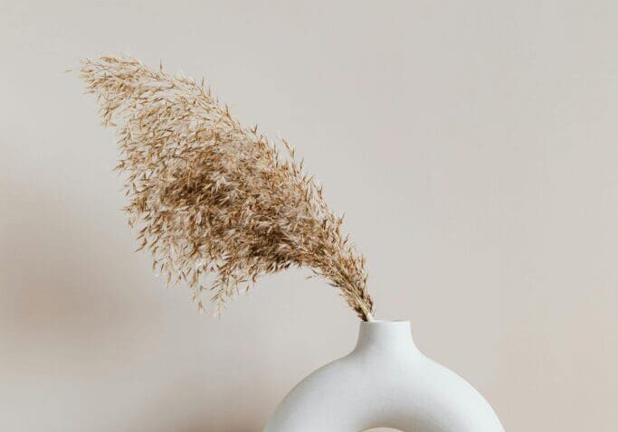 A white vase with some brown dried flowers in it